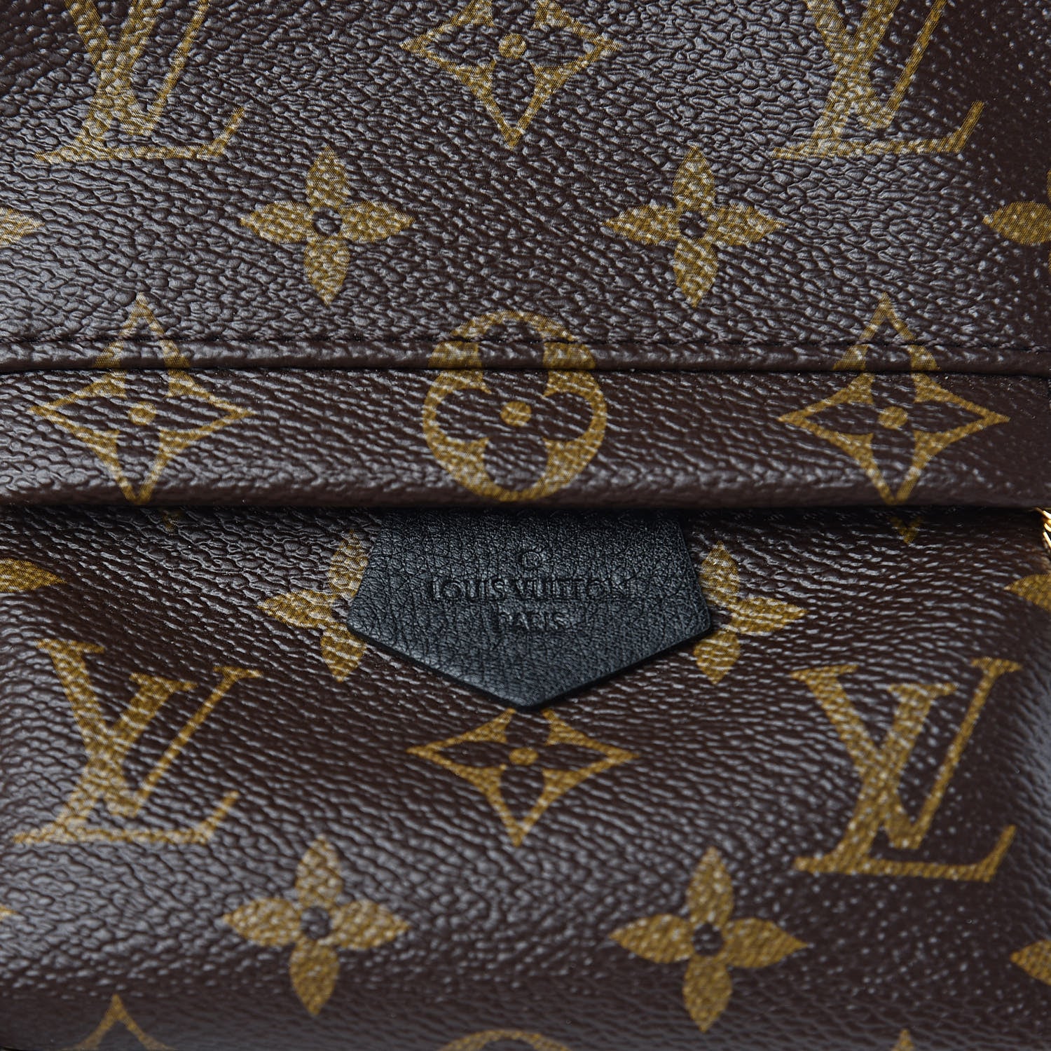 Louis Vuitton Monogram Palm Springs Backpack Mini 9 of 10