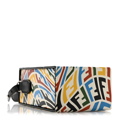 Fendi X SARAH COLEMAN Vitello Grace Light FF Vertigo Box Bag White Ice Multicolor 4 of 12