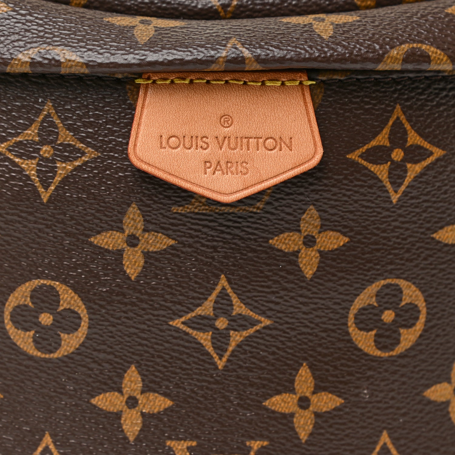 Louis Vuitton Monogram Bumbag 7 of 14