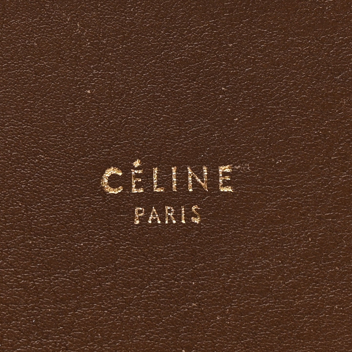 Shiny Smooth Calfskin Small Twisted Cabas Camel Brick