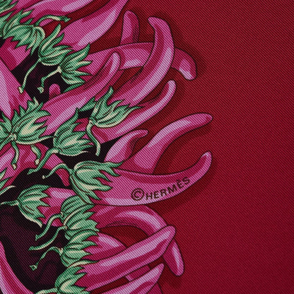 Hermes Silk Aux Pays Des Epices Scarf 90 7 of 8