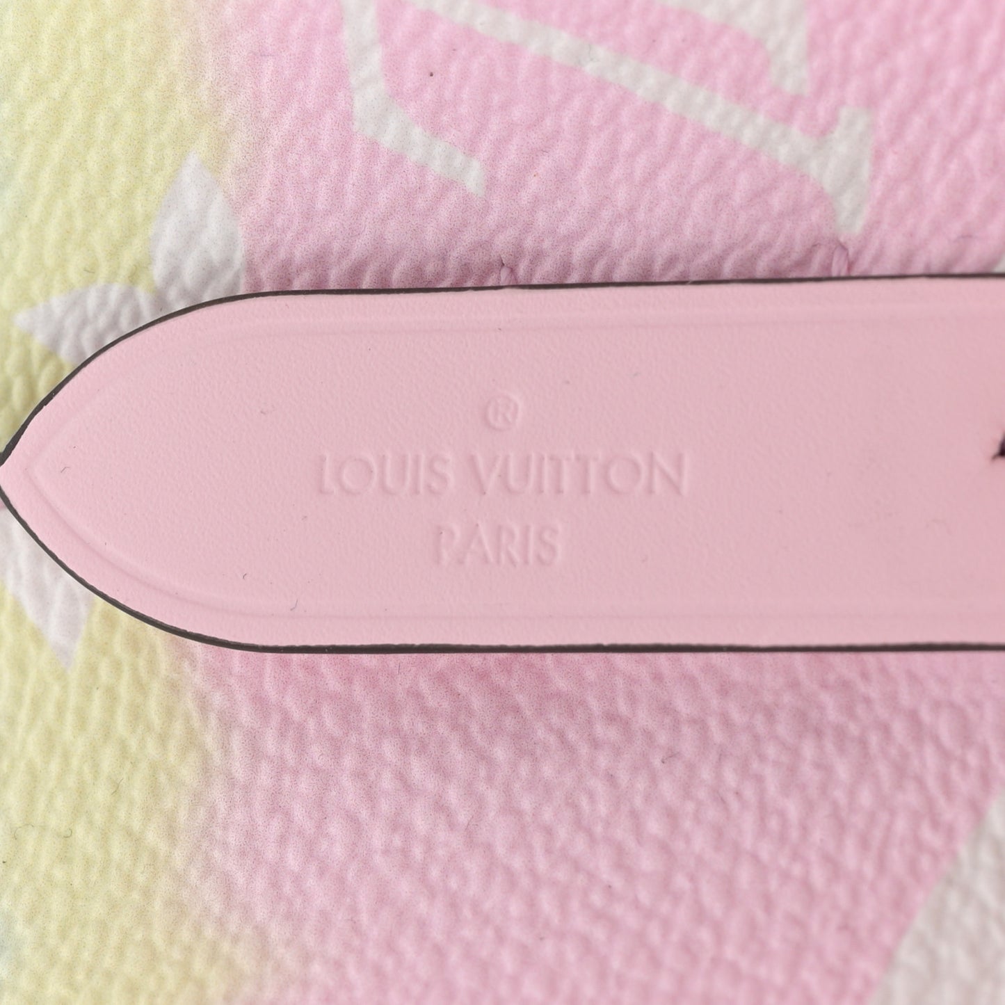 Monogram Escale Neonoe MM Pastel