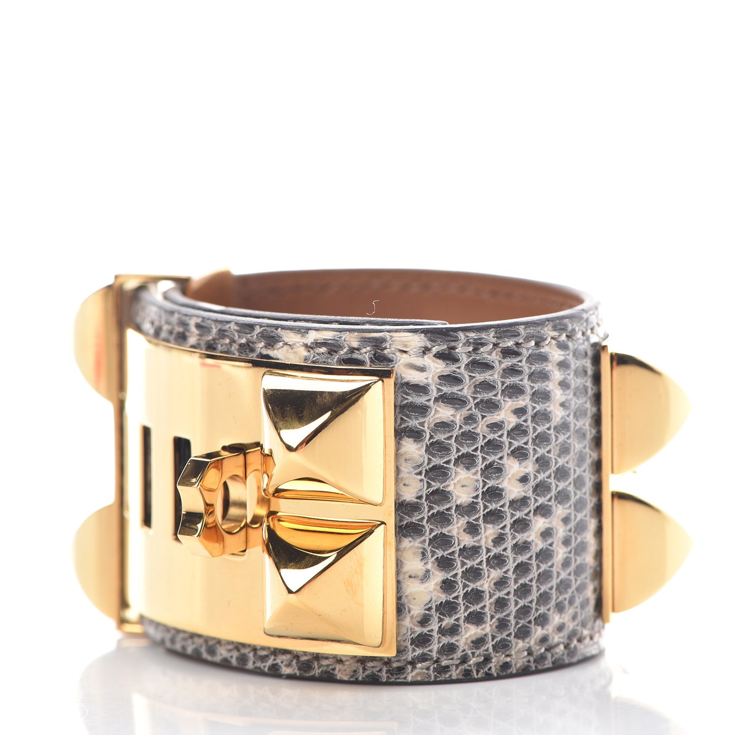 Lizard Collier De Chien CDC Bracelet T2 Ombre