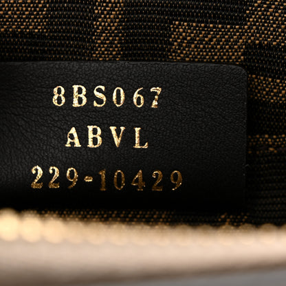 Fendi Vitello King Plexiglass Logo Embossed Mini By The Way Top Handle Boston Bag Tortora 7 of 10