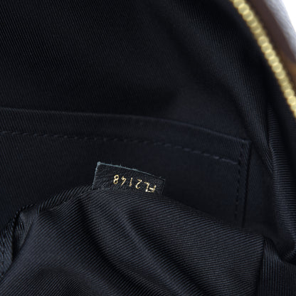 Louis Vuitton Monogram Palm Springs Backpack MM 9 of 10