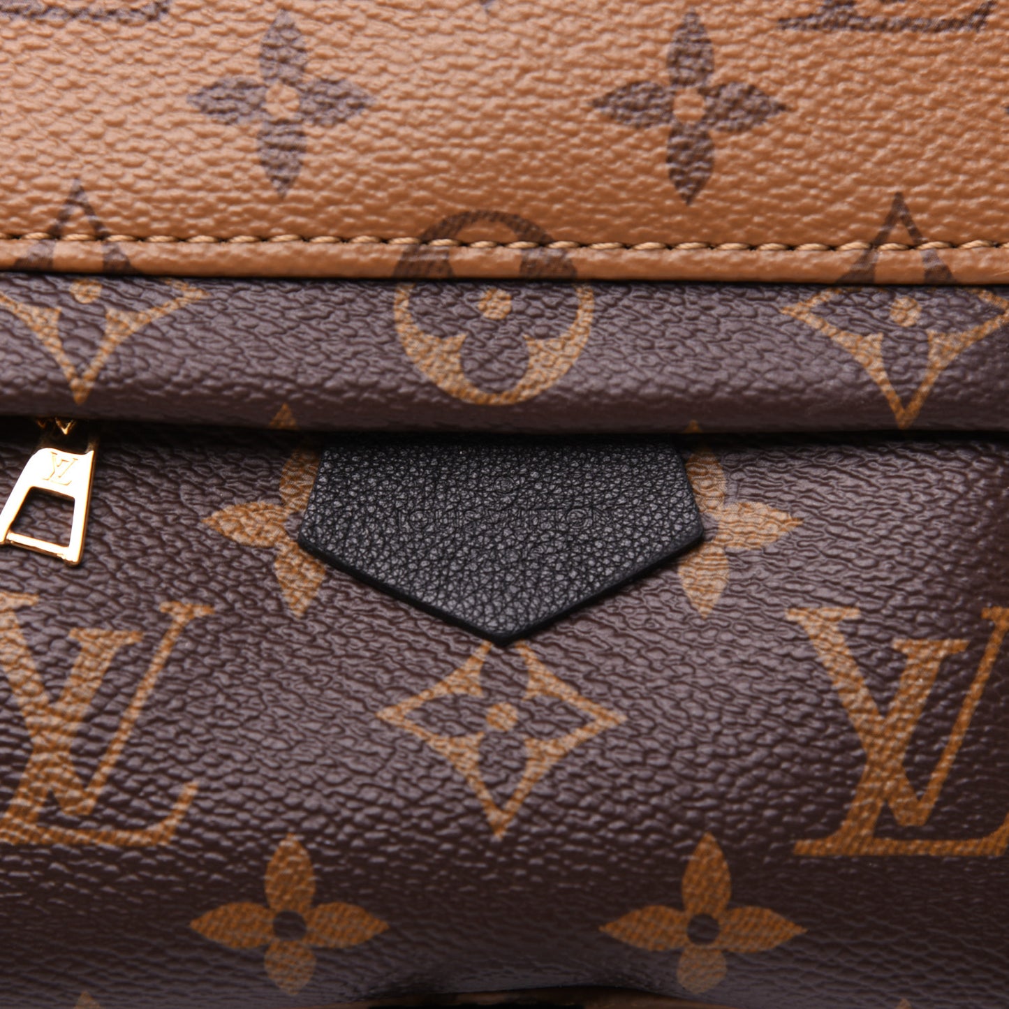Reverse Monogram Palm Springs Backpack Mini