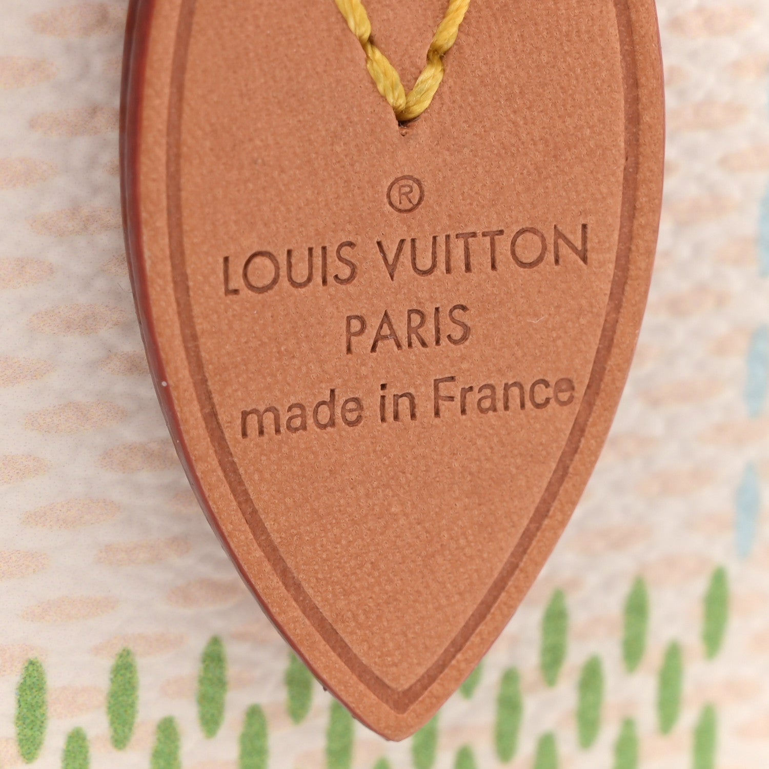 Louis Vuitton Damier Giant Speedy Bandouliere 20 Pistachio 6 of 10