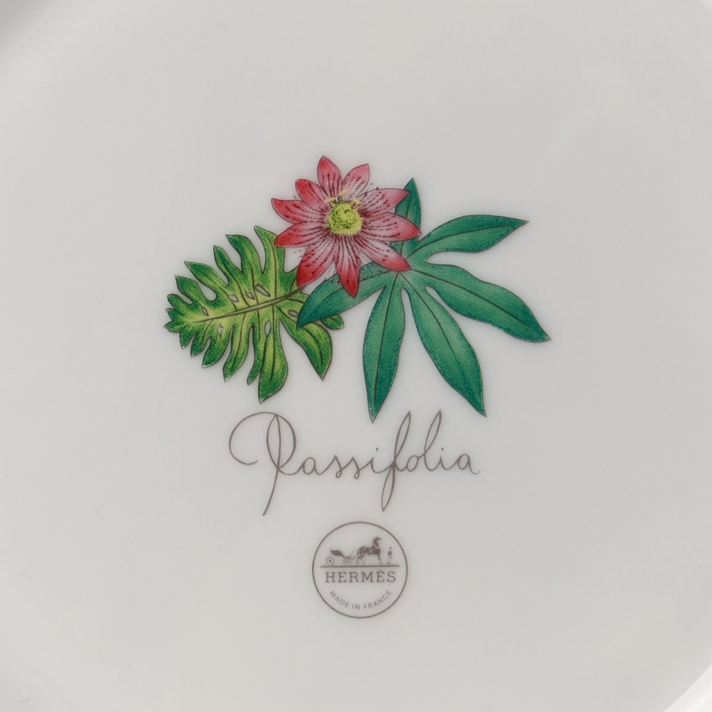 Porcelain Passifolia Dessert Plate N°1 Set of 2
