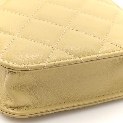 Chanel Lambskin Quilted Enamel CC Wallet on Chain WOC Light Green 12 of 13