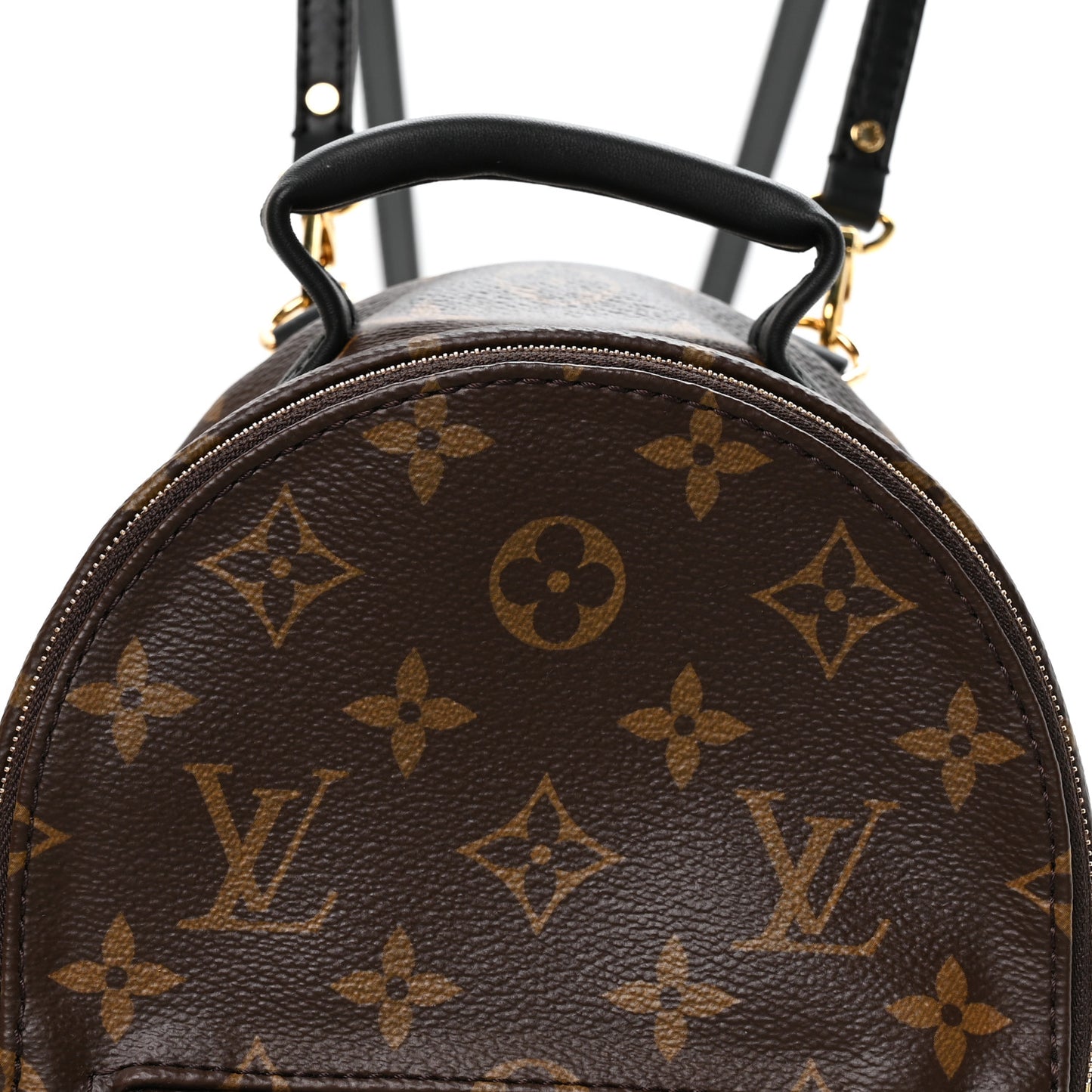 Monogram Palm Springs Backpack Mini