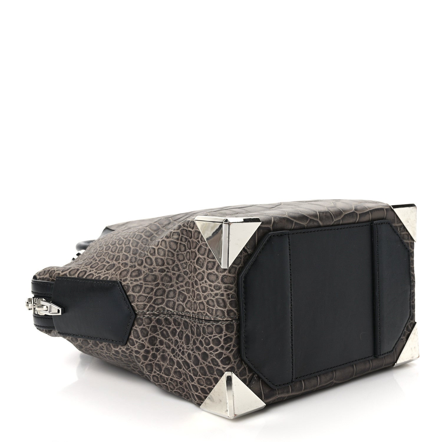 Alexander Wang Crocodile Embossed Calfskin Small Emile Taupe Silver Hardware 3 of 7