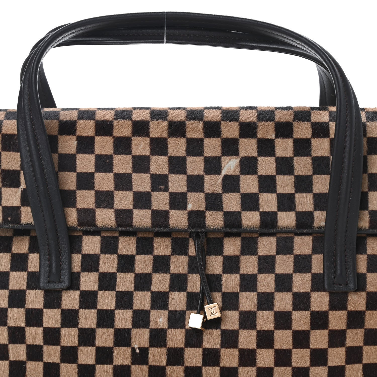 Louis Vuitton Damier Calf Hair Sauvage Lionne 7 of 9