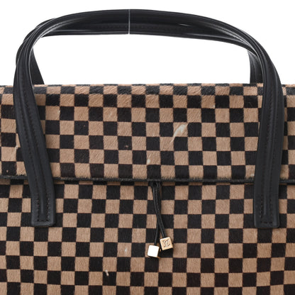 Louis Vuitton Damier Calf Hair Sauvage Lionne 7 of 9