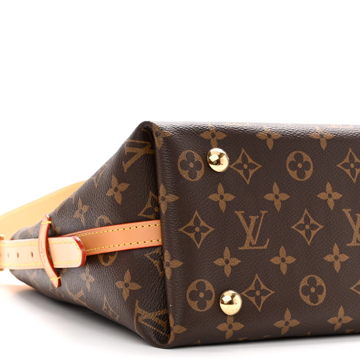 Monogram CarryAll PM