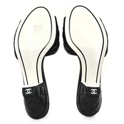 Chanel Lambskin Quilted Textured CC Mules 37 Black 6 of 10