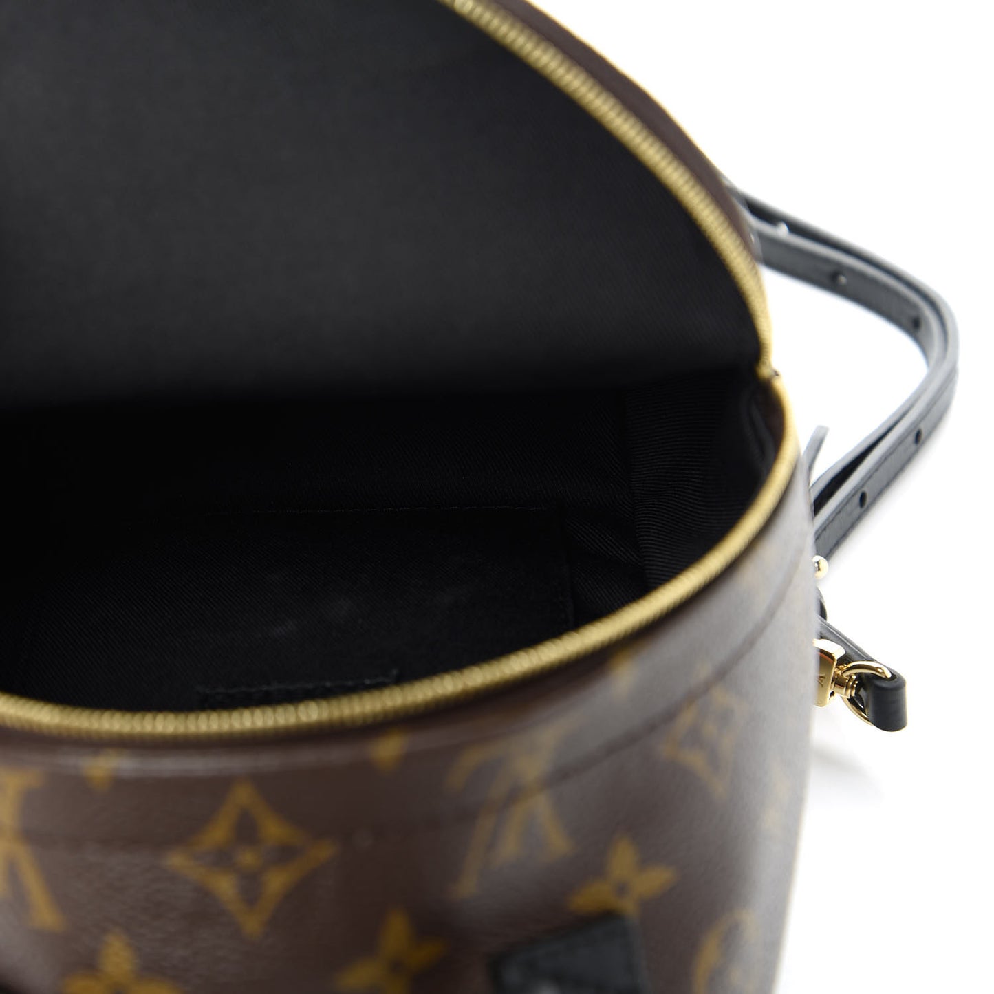 Monogram Palm Springs Backpack Mini