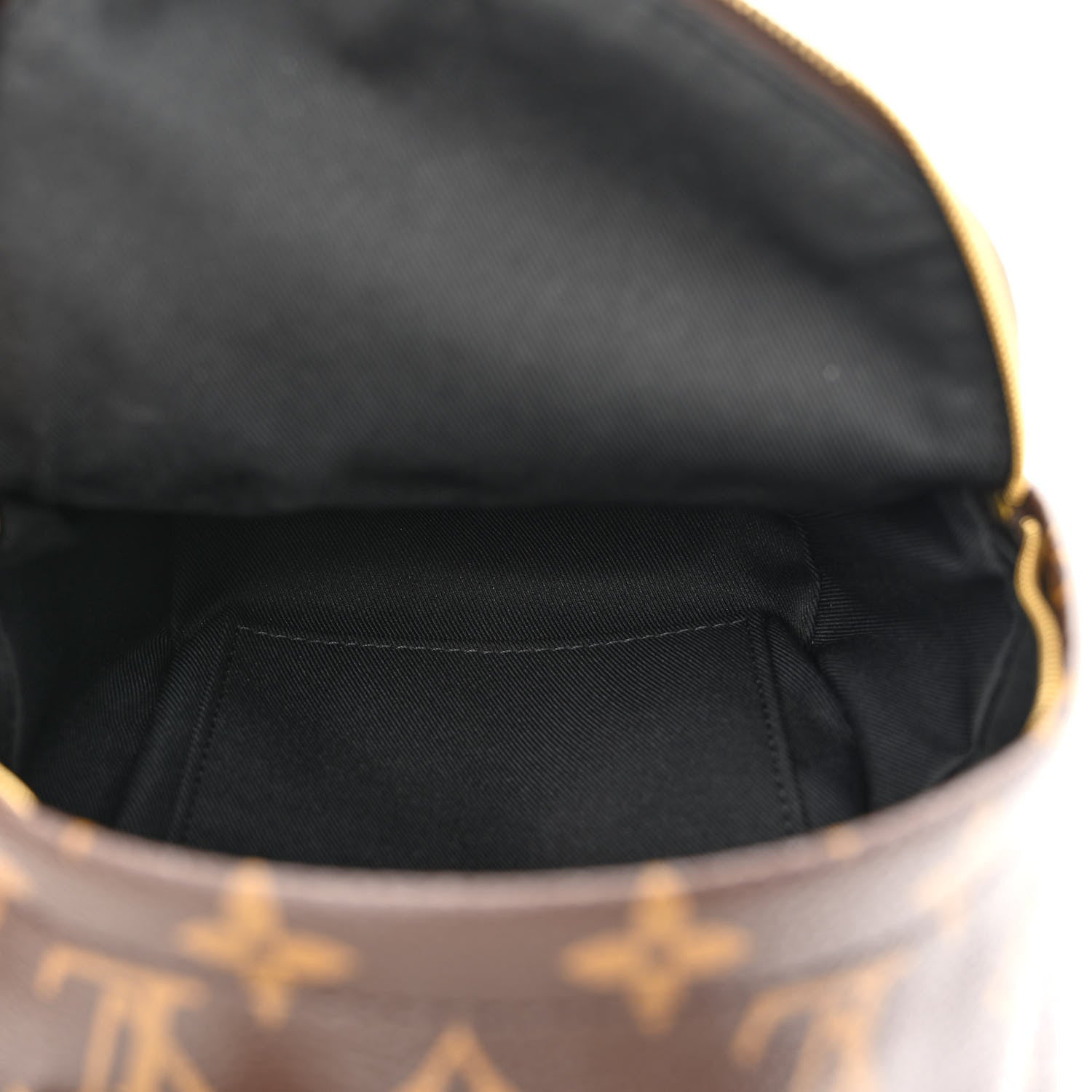 Louis Vuitton Monogram Palm Springs Backpack Mini 5 of 11