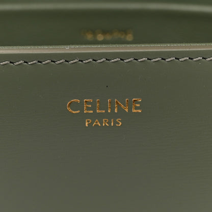 Celine Shiny Calfskin Triomphe Shoulder Bag Celadon 6 of 10