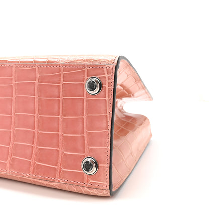 Louis Vuitton Alligator City Steamer PM Sienna Nude 9 of 9