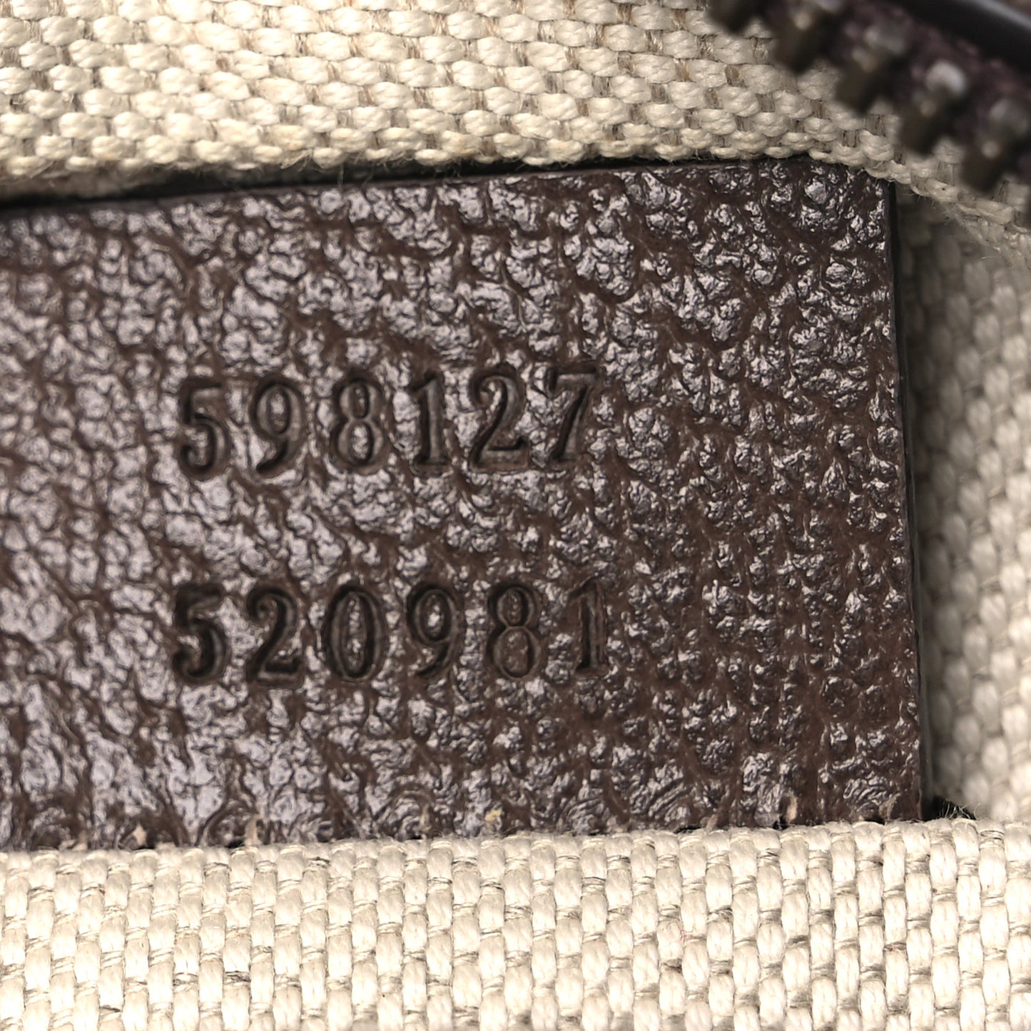 GG Supreme Monogram Web Mini Ophidia Messenger Brown