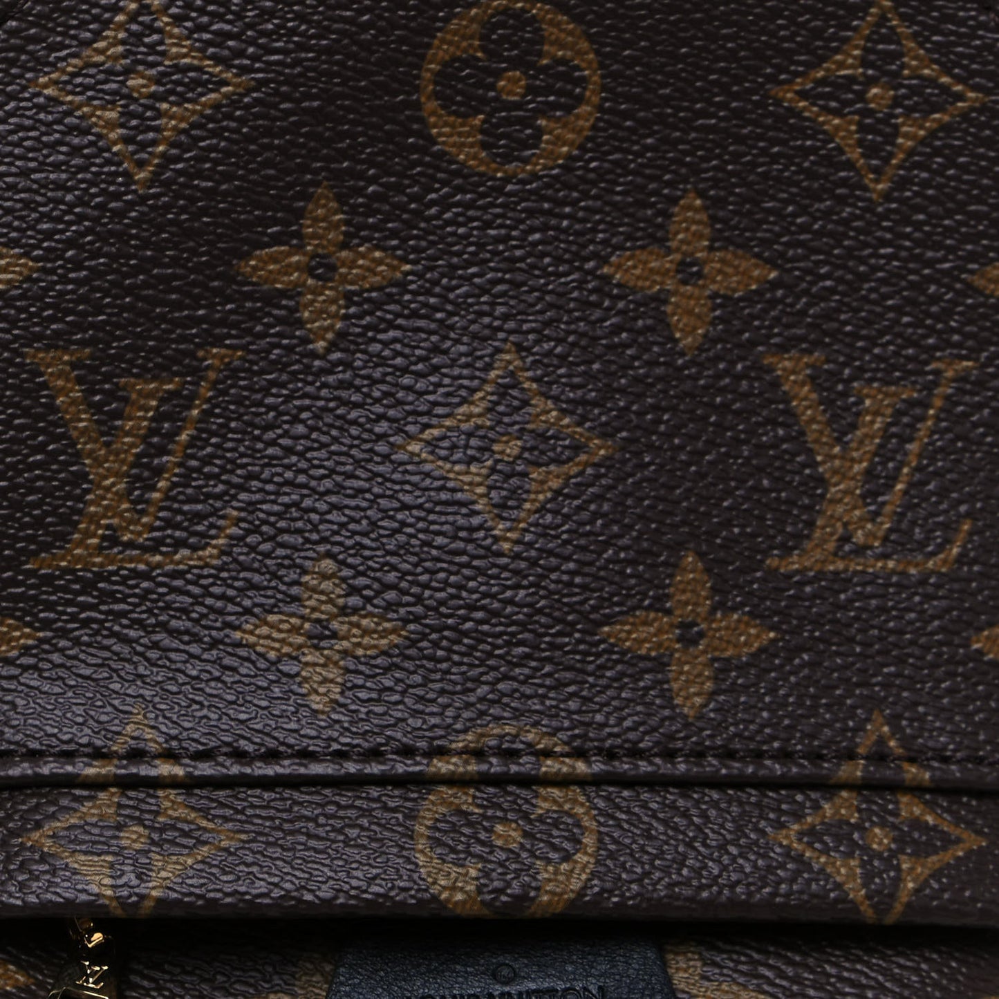 Monogram Palm Springs Backpack Mini