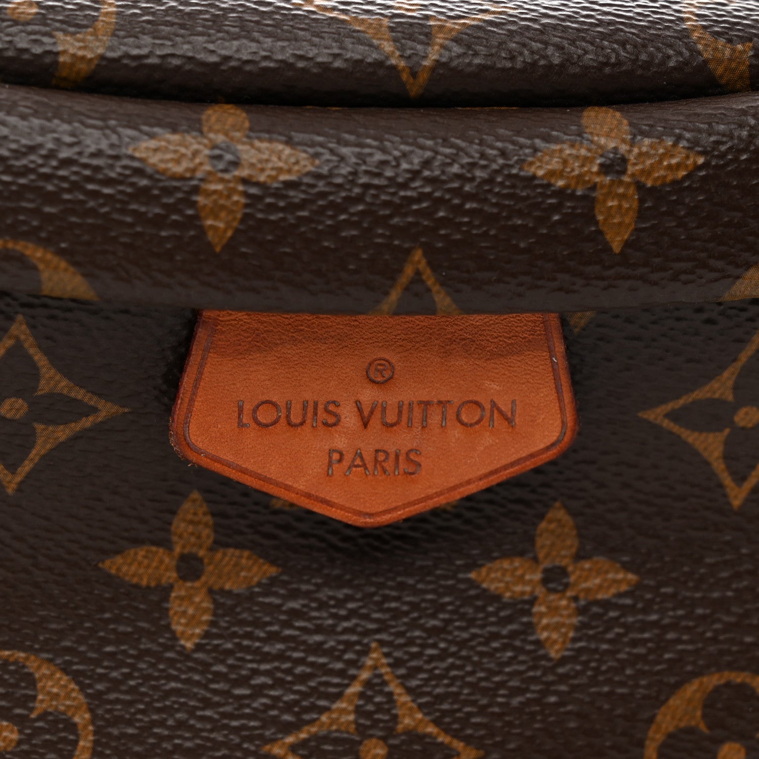 Louis Vuitton Monogram Bumbag 10 of 11