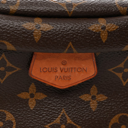 Louis Vuitton Monogram Bumbag 10 of 11