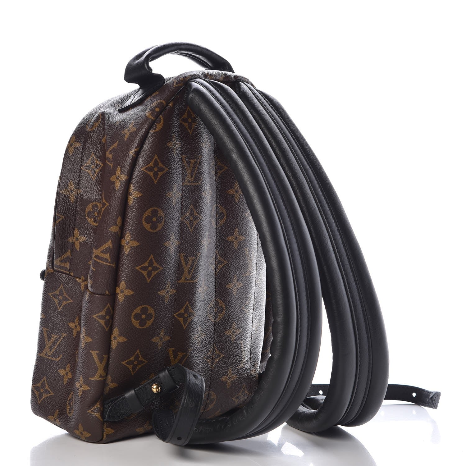 Louis Vuitton Monogram Palm Springs Backpack PM 3 of 9