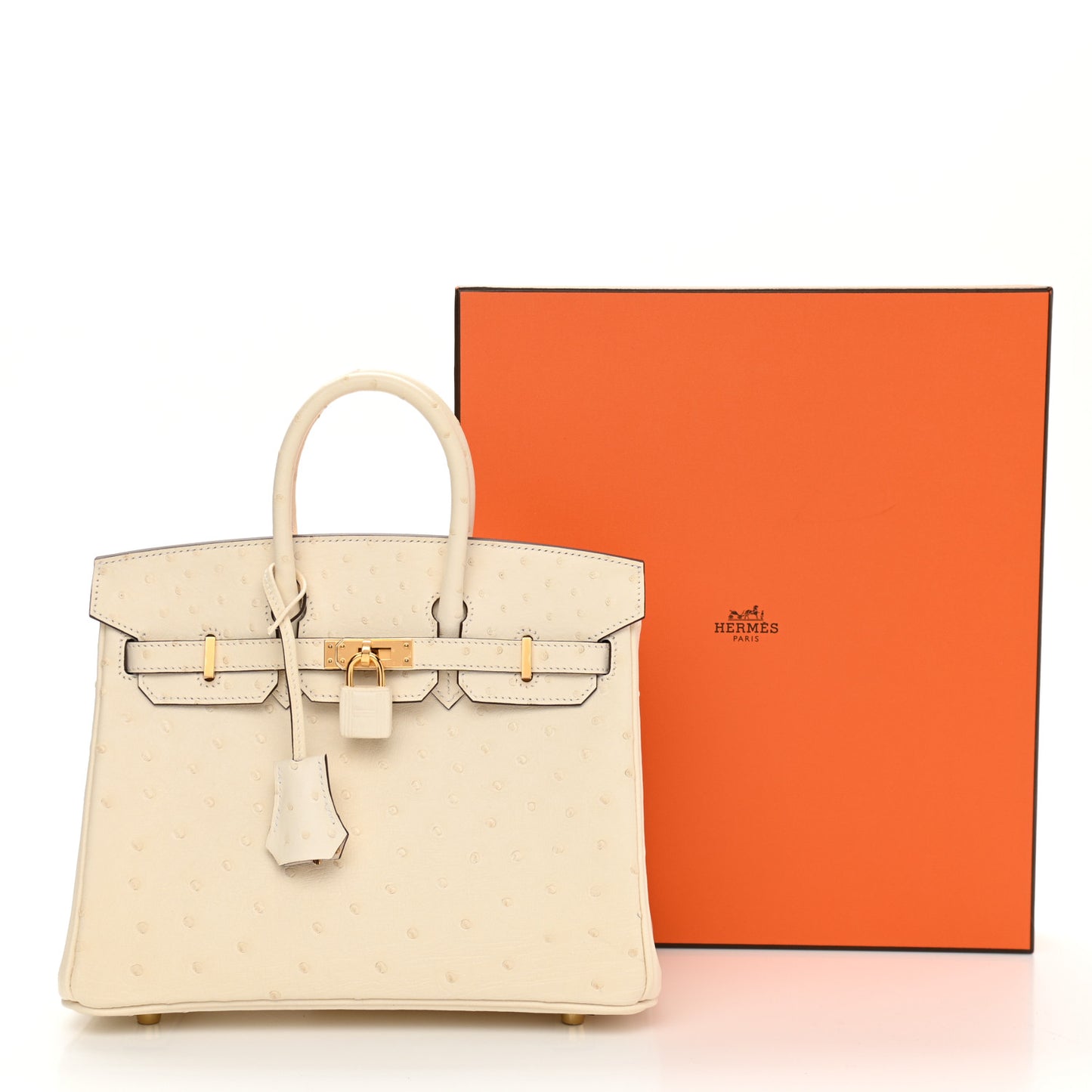 Ostrich Birkin 25 Nata