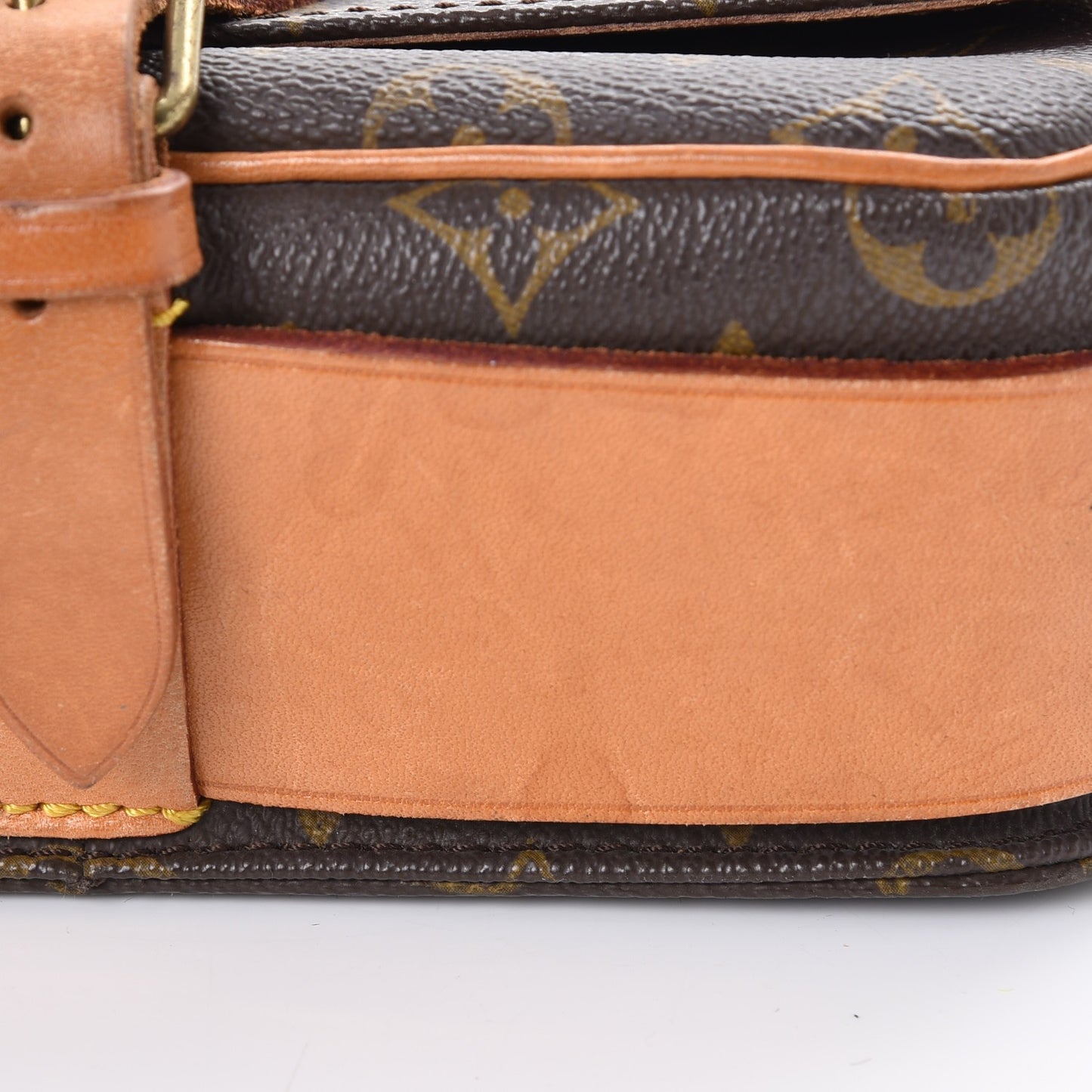 Monogram Cartouchiere 22