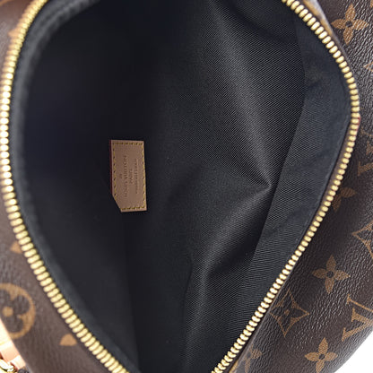 Louis Vuitton Monogram Bumbag 7 of 11