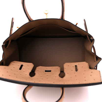 Hermes Ostrich Birkin 25 Chai 5 of 9