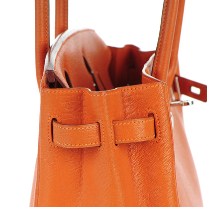 Hermes Chevre de Coromandel Birkin 30 Potiron 15 of 28