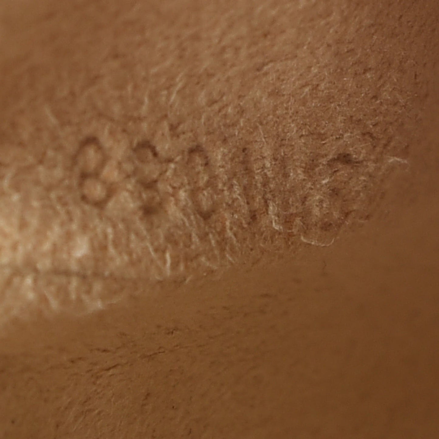 Monogram Phone Case MM