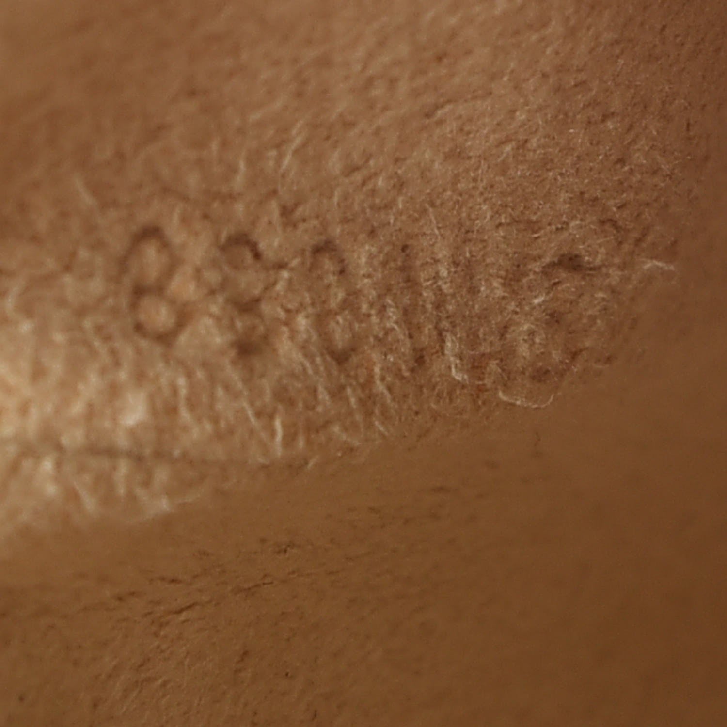 Louis Vuitton Monogram Phone Case MM 7 of 7