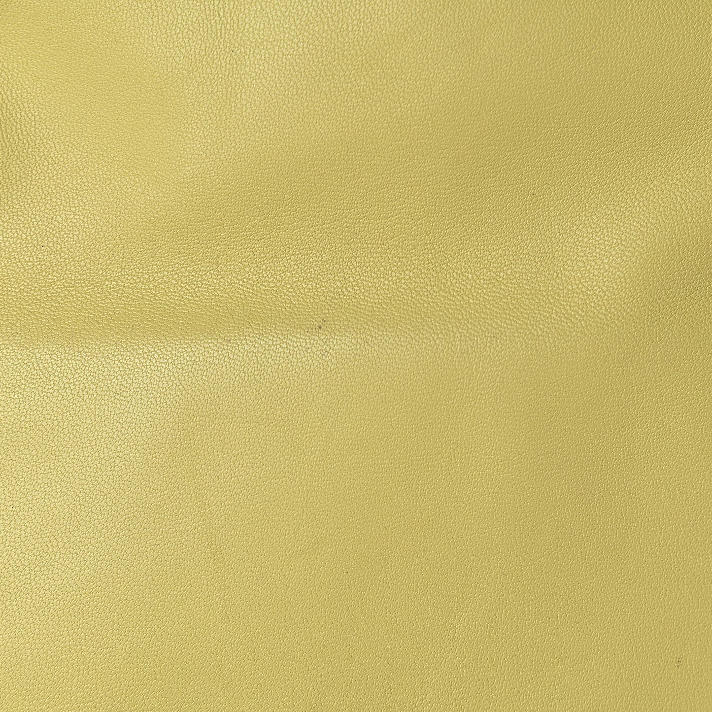 Smooth Lambskin Small Vertical Bi-Cabas Beige Yellow