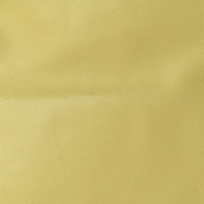 Celine Smooth Lambskin Small Vertical Bi-Cabas Beige Yellow 20 of 27