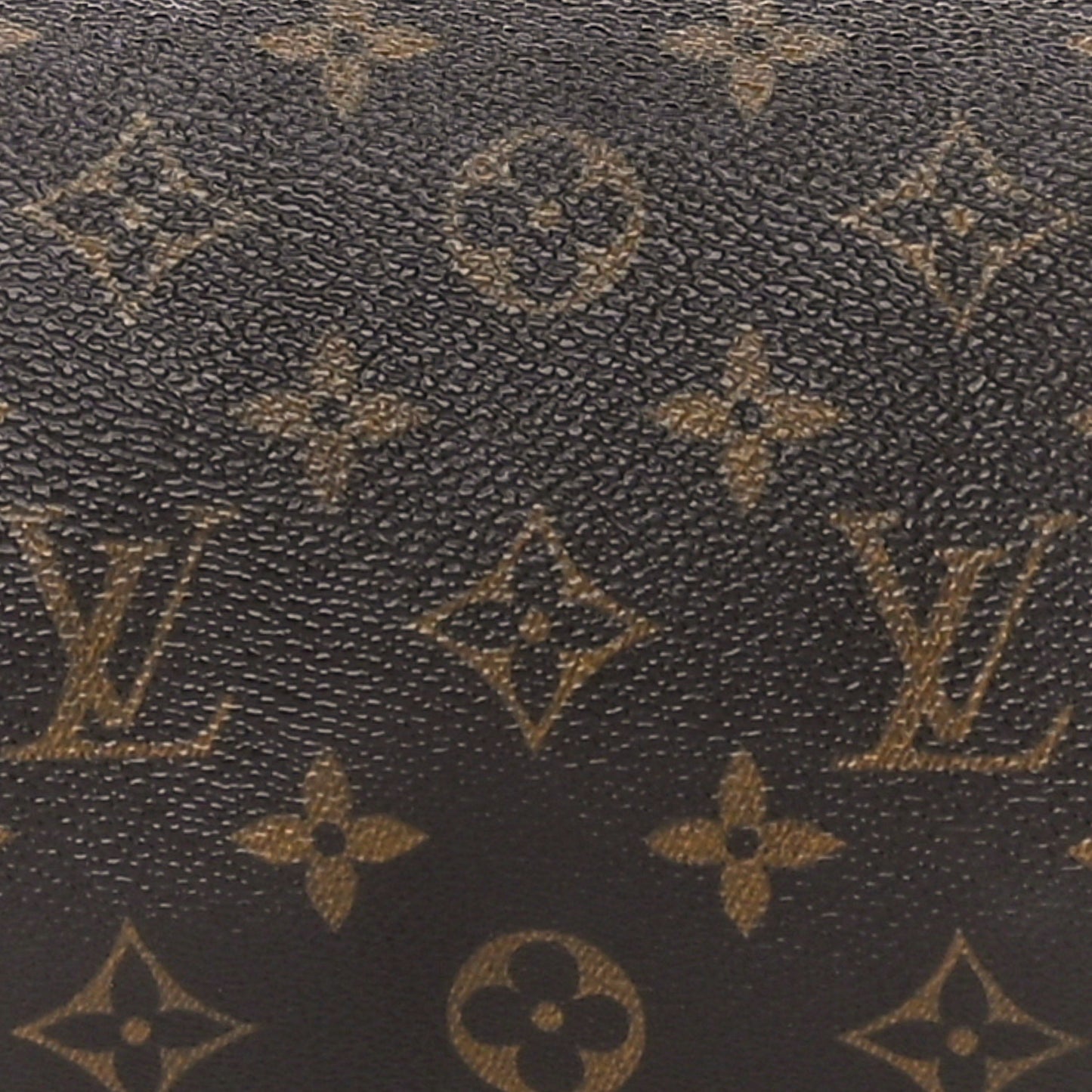Monogram Papillon 30 with Companion