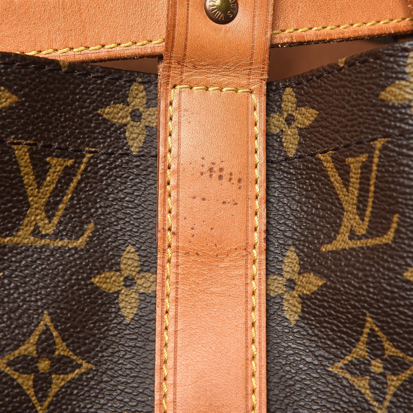 Monogram Randonnee GM Backpack