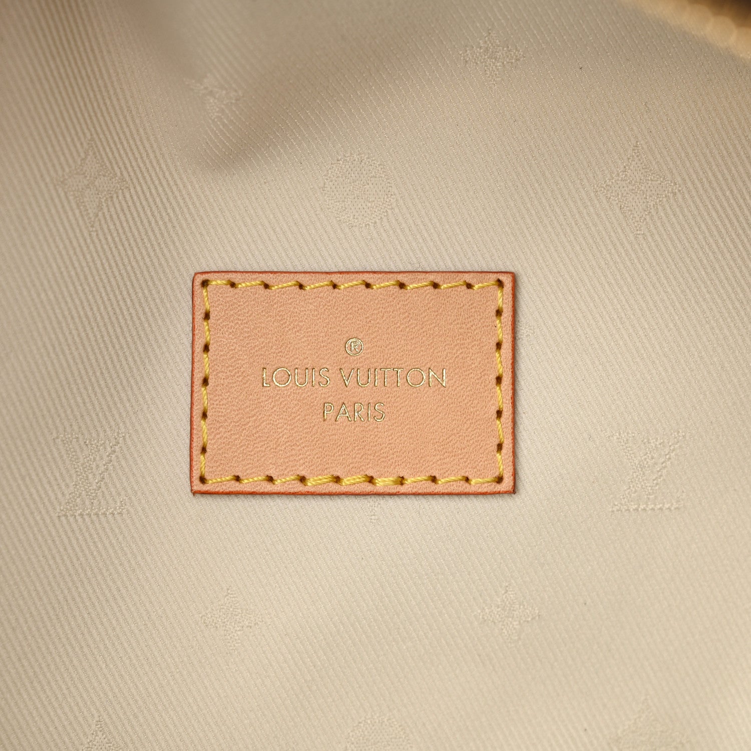 Louis Vuitton Monogram High Rise Bumbag 6 of 9
