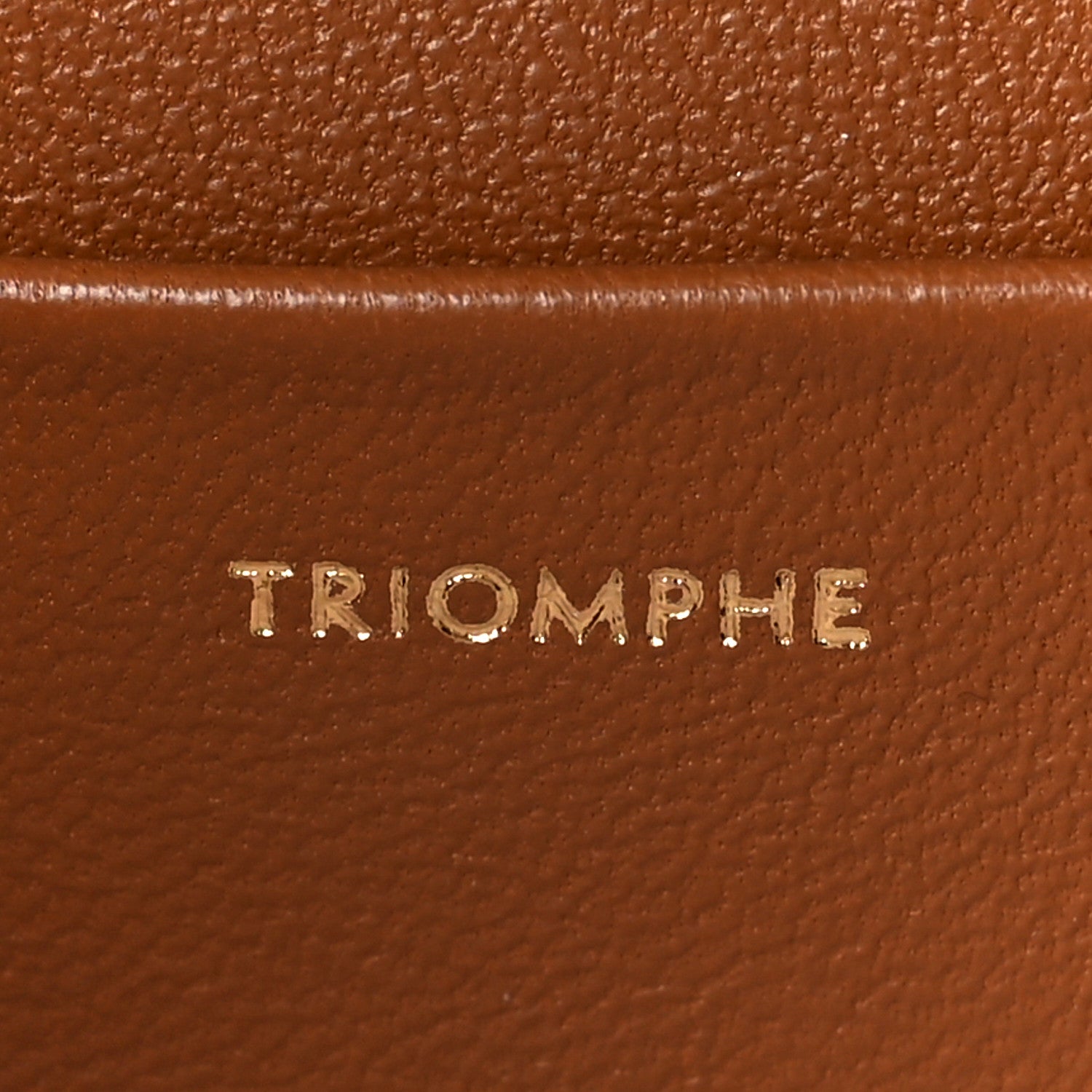 Celine Textile Calfskin Classique Triomphe Bag Natural Tan 6 of 10