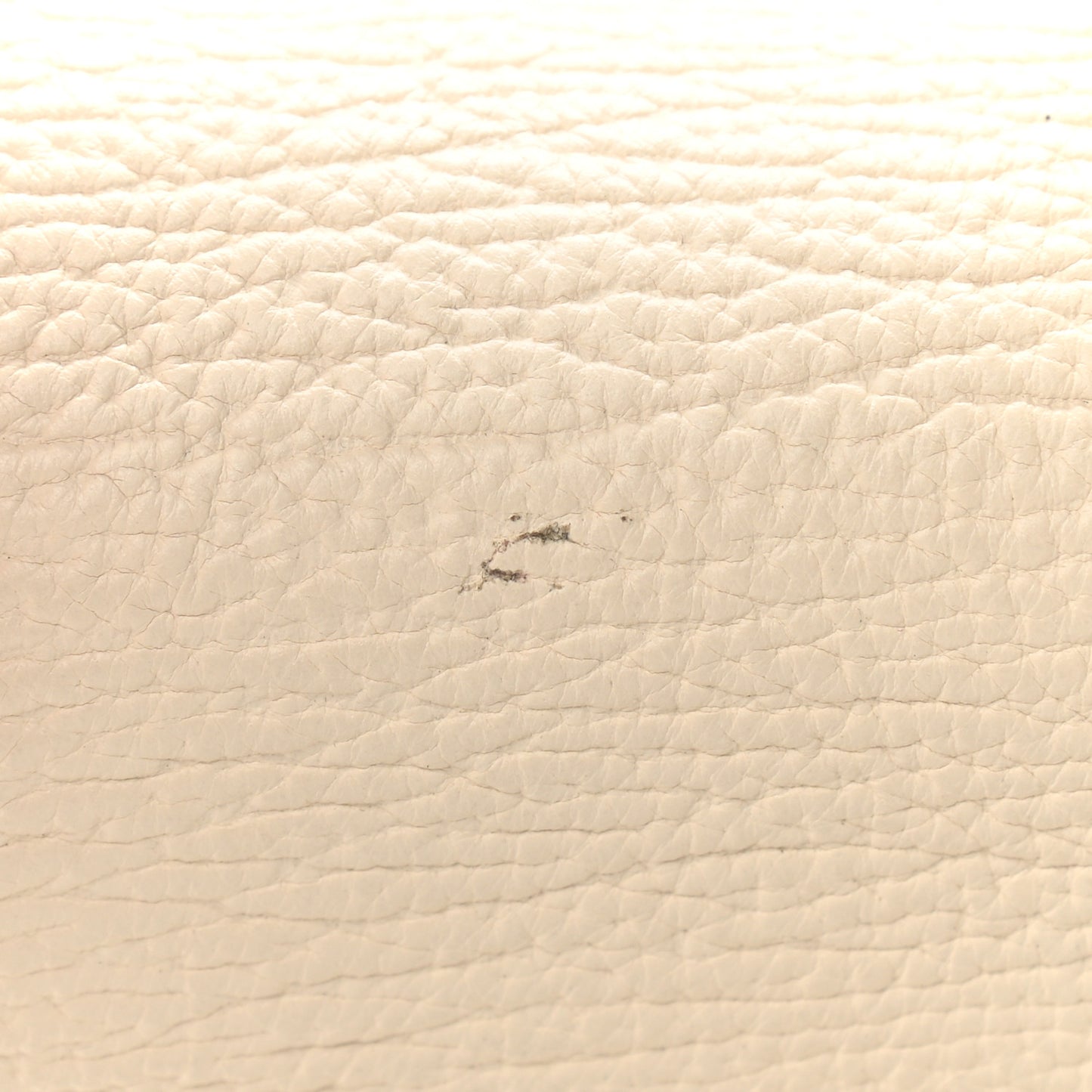 Textured Calfskin Pashli Backpack Milk