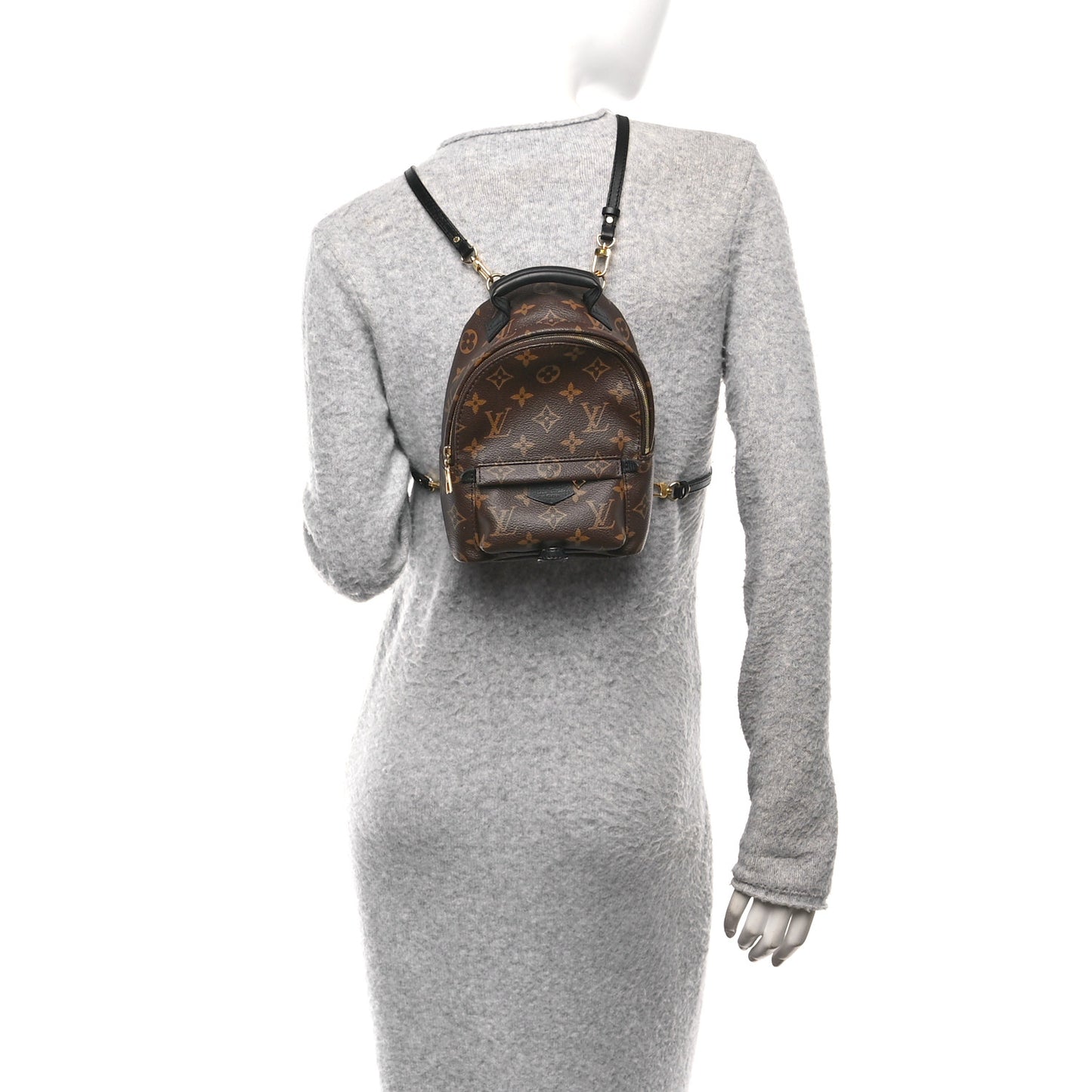 Monogram Palm Springs Backpack Mini