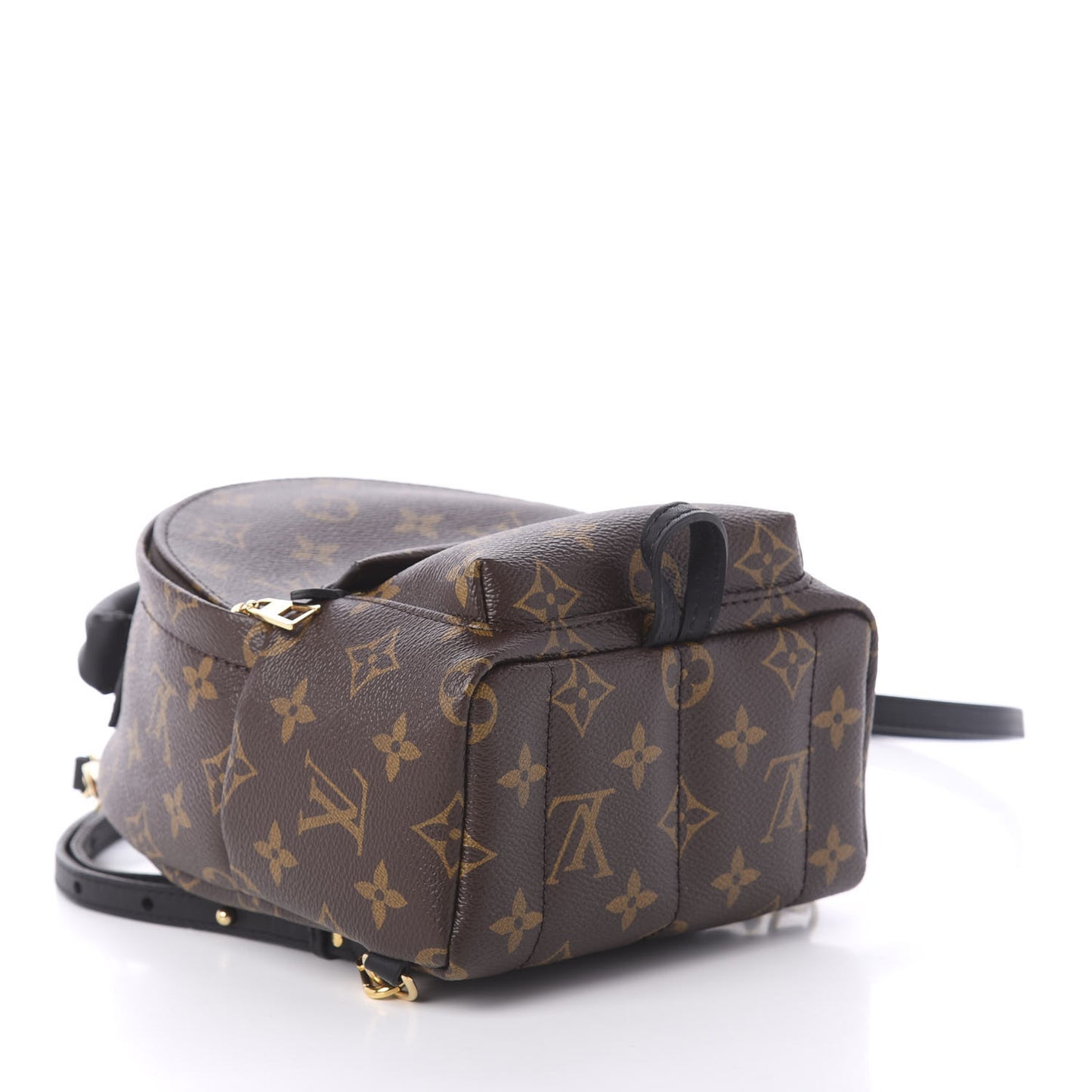 Monogram Palm Springs Backpack Mini