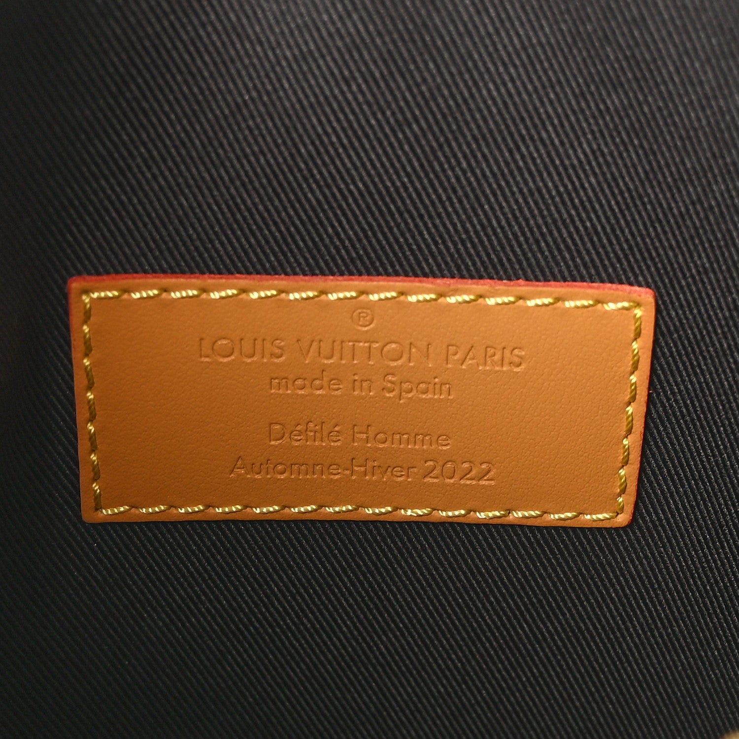 Louis Vuitton Monogram Blurry Hobo Cruiser PM 6 of 8