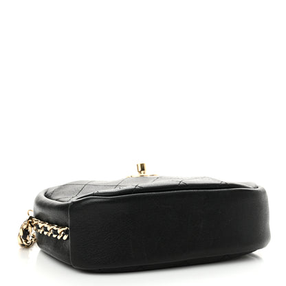 Chanel Goatskin Quilted Small Casual Trip Camera Case Black 4 of 12