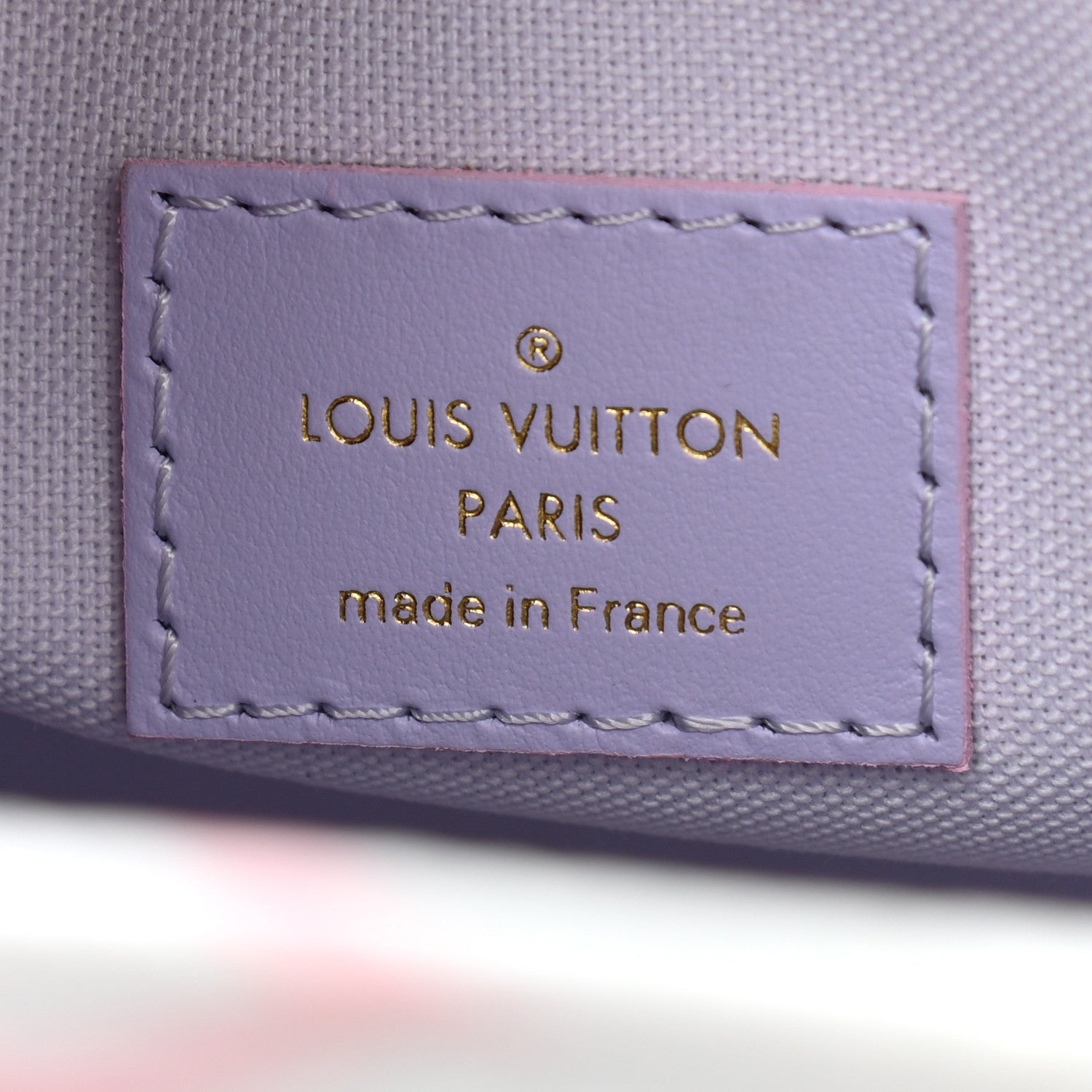 Louis Vuitton Monogram Giant Spring In The City Onthego PM Sunrise Pastel 6 of 8