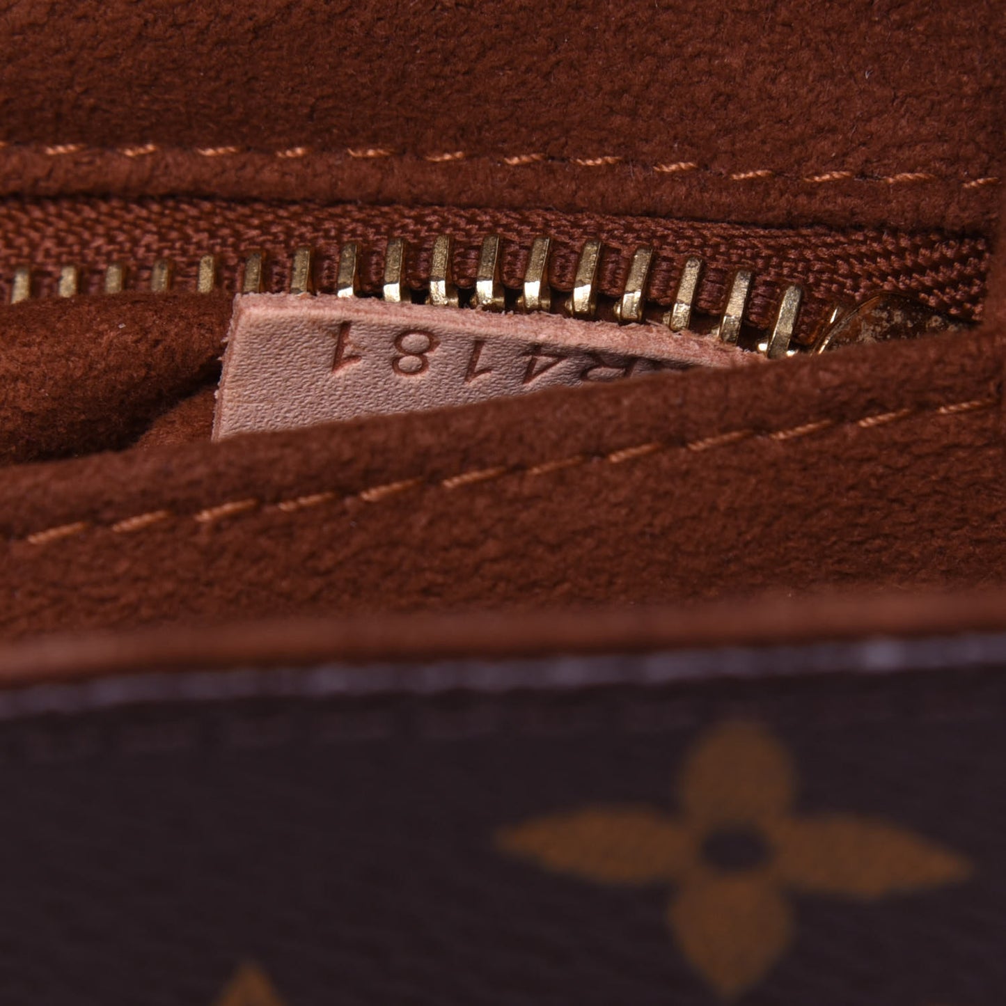 Monogram Eden PM Camel
