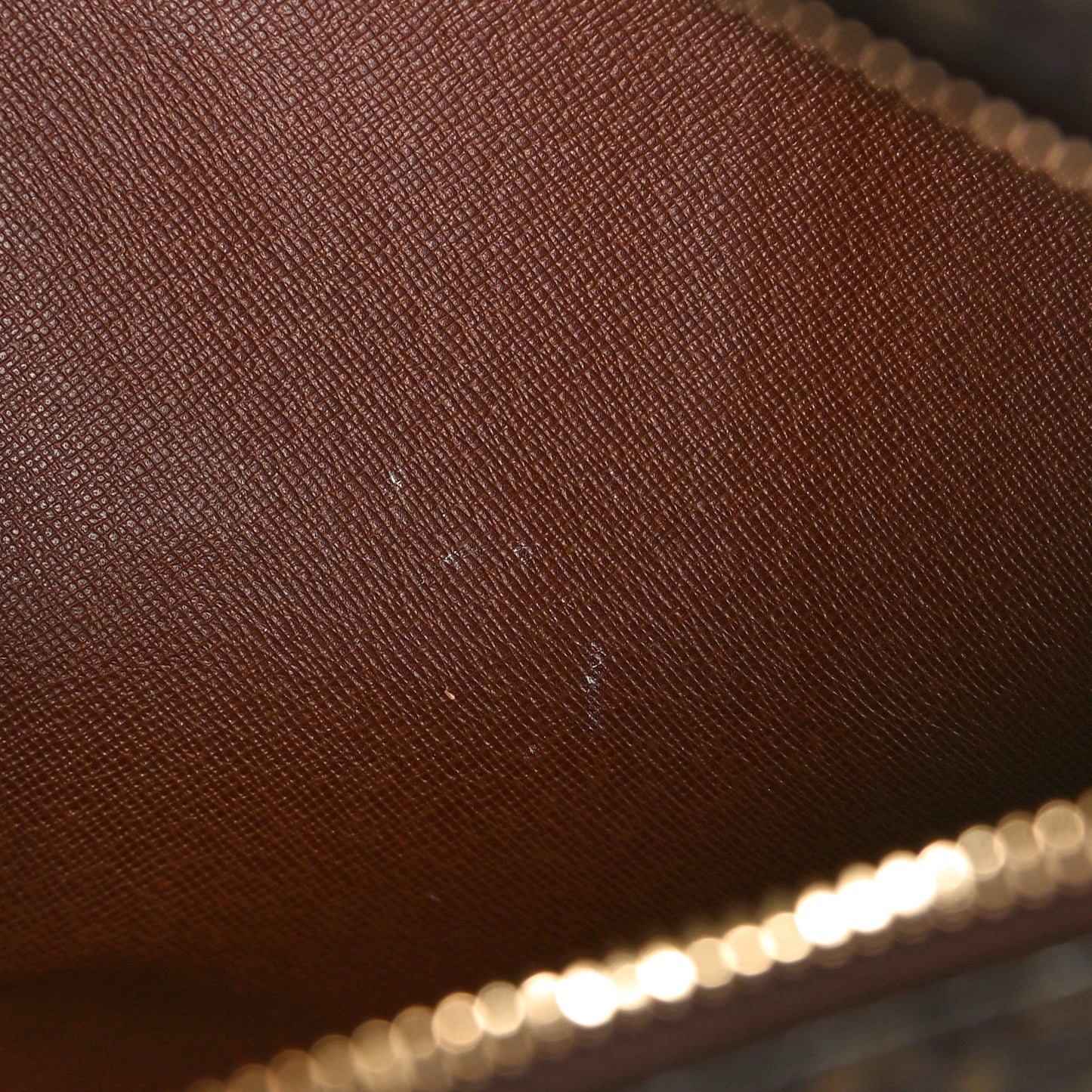 Monogram Papillon 26