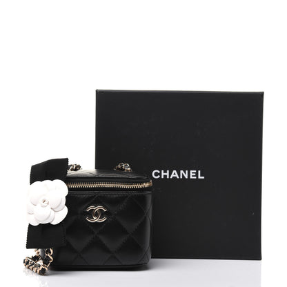 Chanel Lambskin Quilted My Chanel Lady Vanity Case With Chain Black 14 of 14